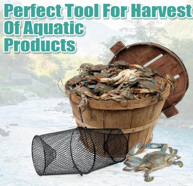 Metal Crawfish Trap Lobster Tr - Fishing Equipment Market ulasan dan harga