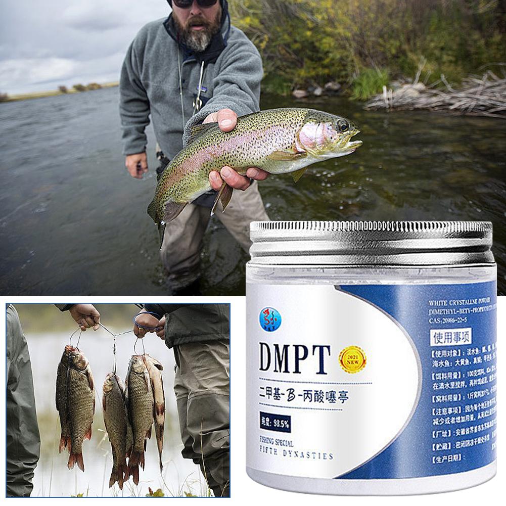 50g Real DMPT High Purity Fish - Fishing Equipment Market ulasan dan harga