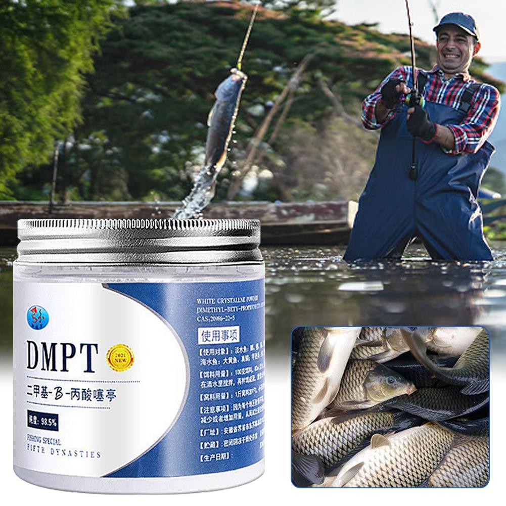 50g Real DMPT High Purity Fish - Fishing Equipment Market ulasan dan harga
